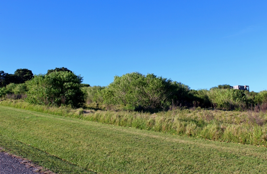 0 Bedroom Property for Sale in Forest Downs Eastern Cape